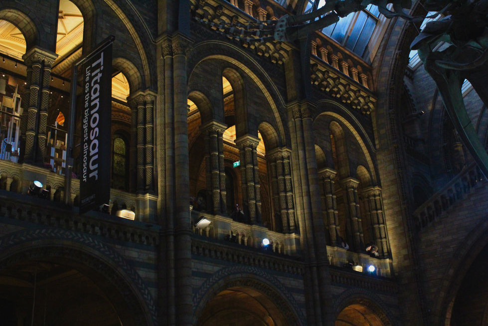 Natural History Museum