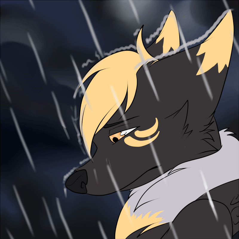 Rain animation