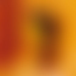Olympia Vitalis e Common Saints: il calore soul di “December Sunshine”