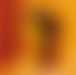 Olympia Vitalis e Common Saints: il calore soul di “December Sunshine”