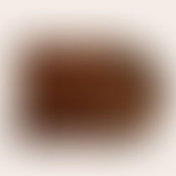 Jungle tornano con “Carry On” e annunciano l’album Sunshine