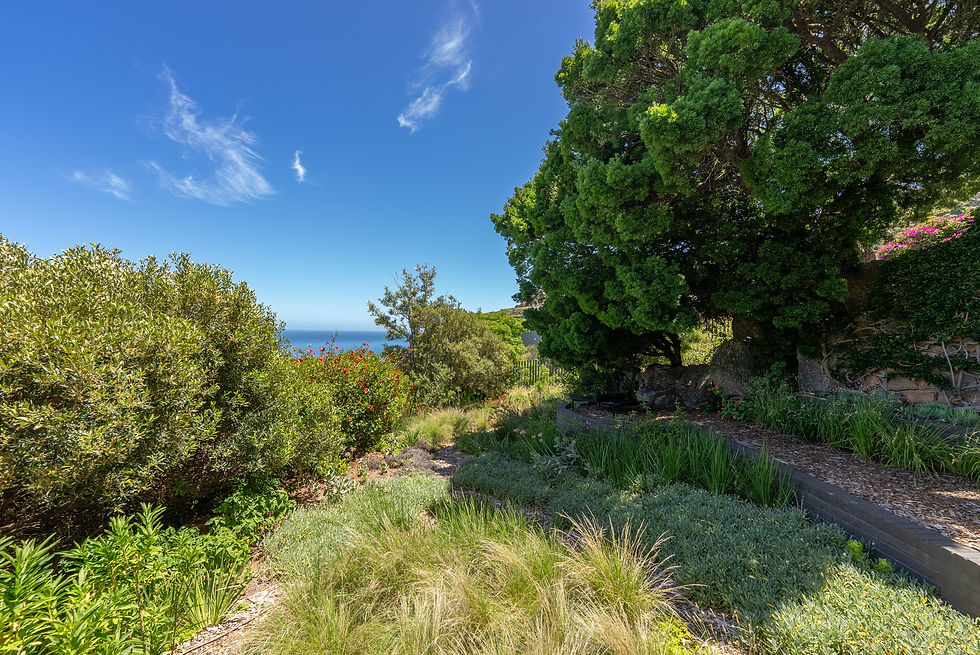 Cape Town Llandudno rental house garden