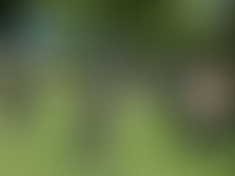 Sweden: Empowering Young Women through FootGolf