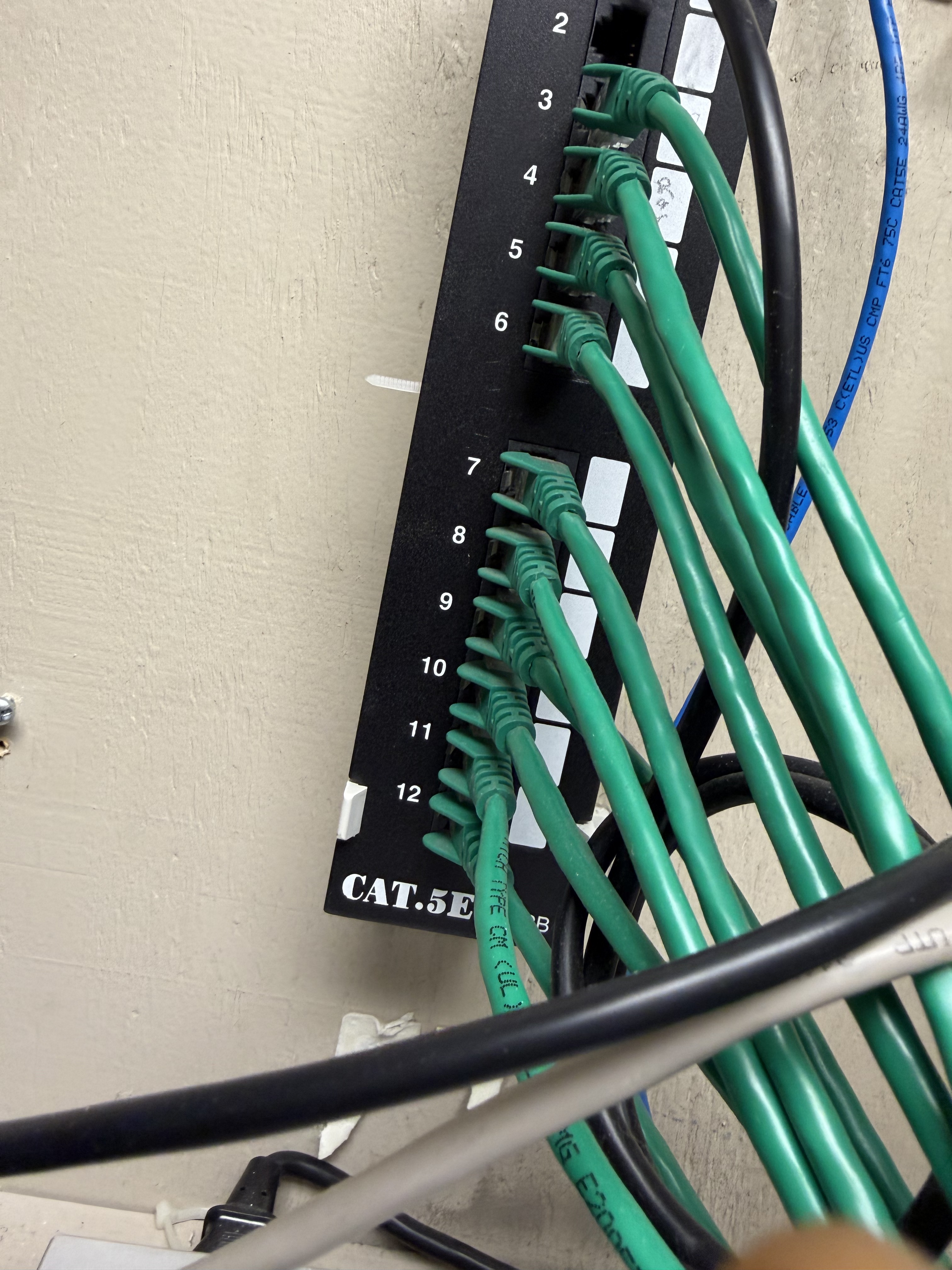 Ethernet cables connected to a patch panel