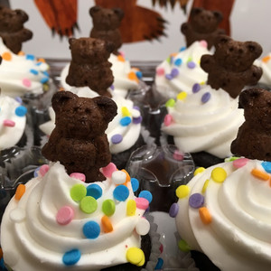 Brown Bear Brown Bear