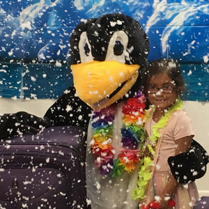 Penguin on Vacation