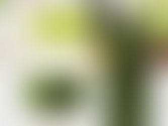 Fresh Food, Fresh Start