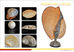carving shell art crafts