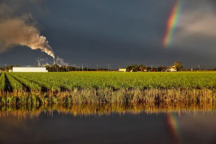 Rainbow Storm