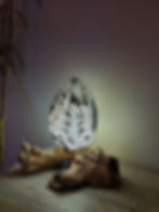 Driftwood glow lamp with egg shaped shade shown lit up