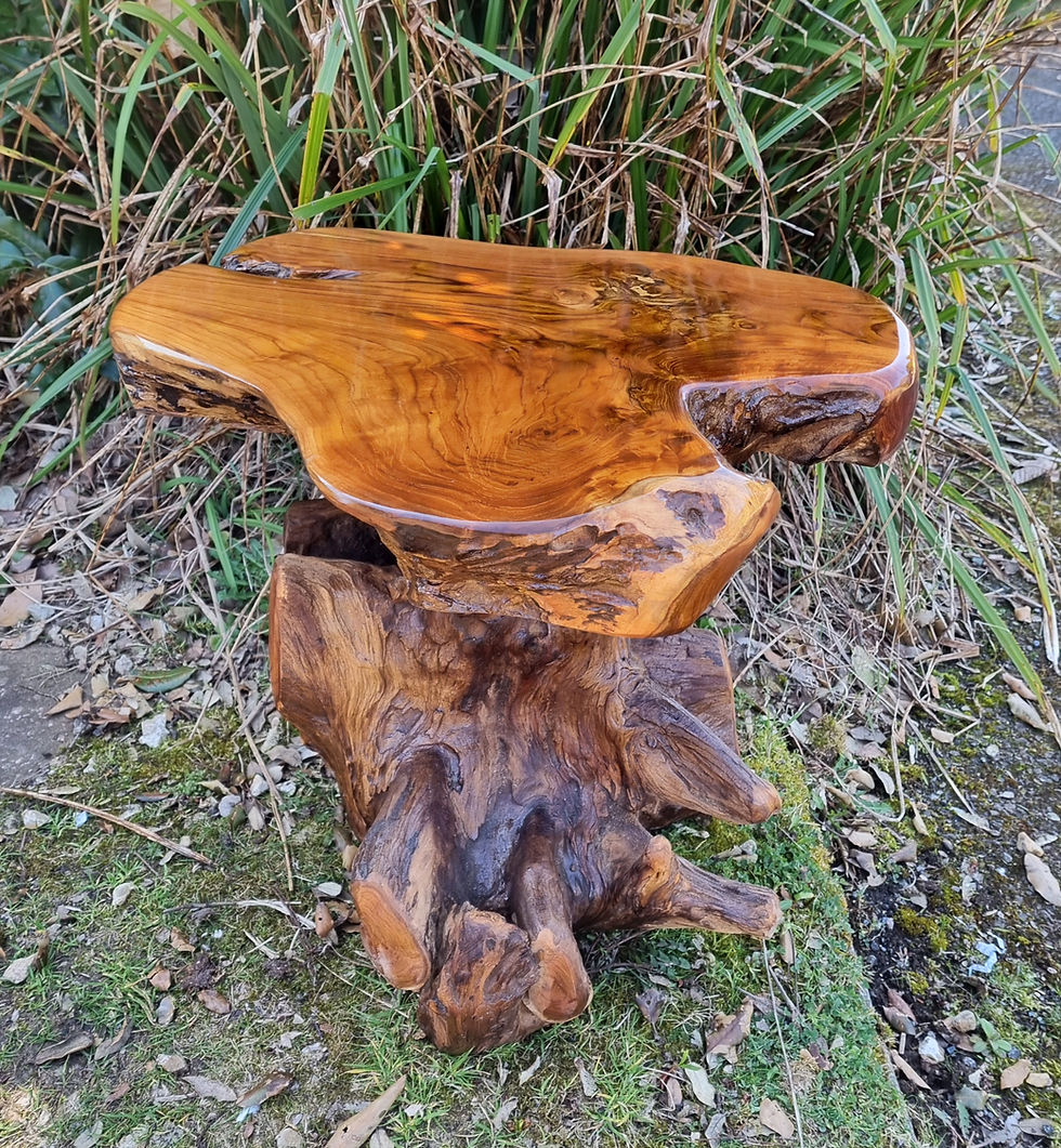 Thumbnail: Teak root side table shown outdoors from different angles