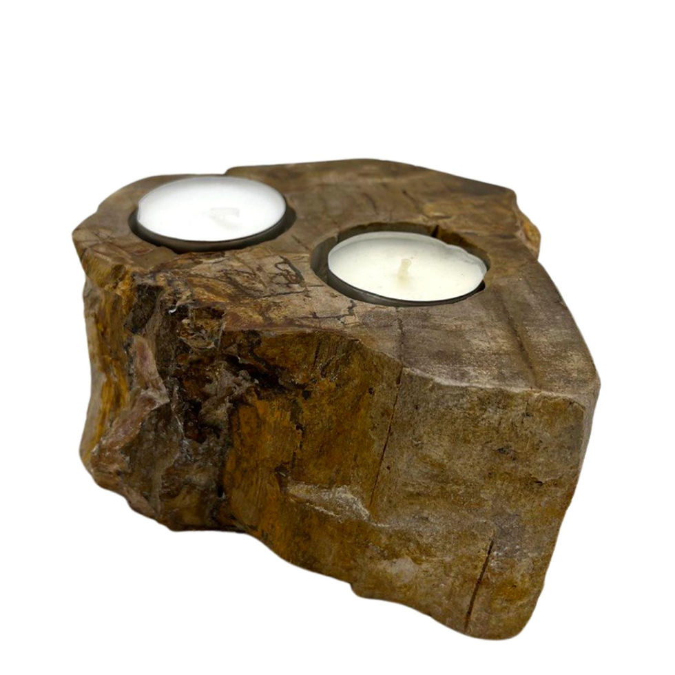 Thumbnail: petrified wood double tea candle holder