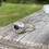 Thumbnail: Marija Designs Signature Design Tanzanite Ring