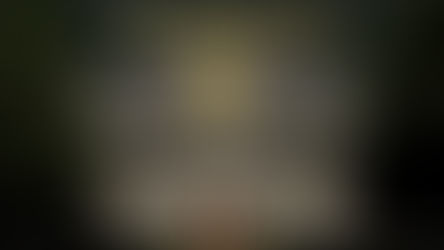 Release of The Golden Owl