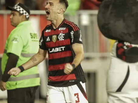 Flamengo vence o Galo e é o novo líder do Campeonato Brasileiro