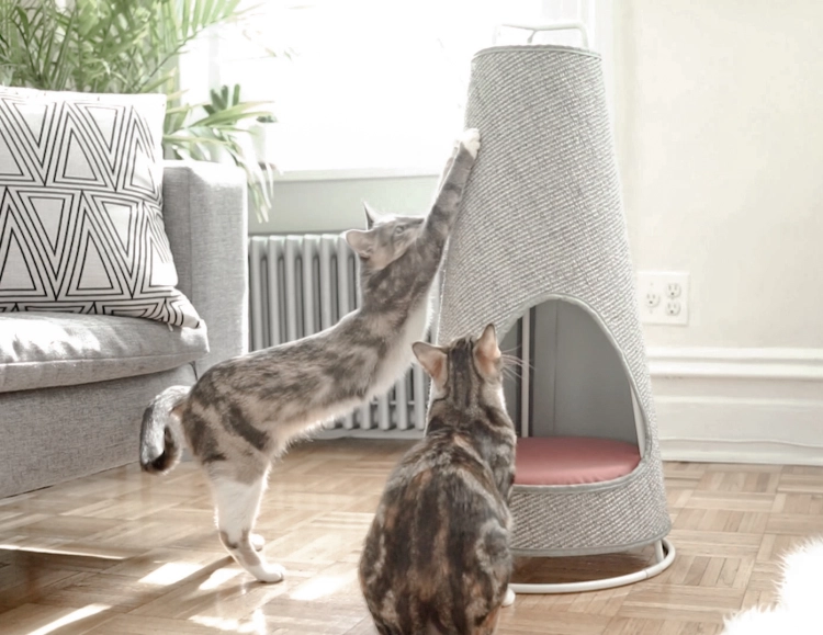 wiski_cone-7.webp