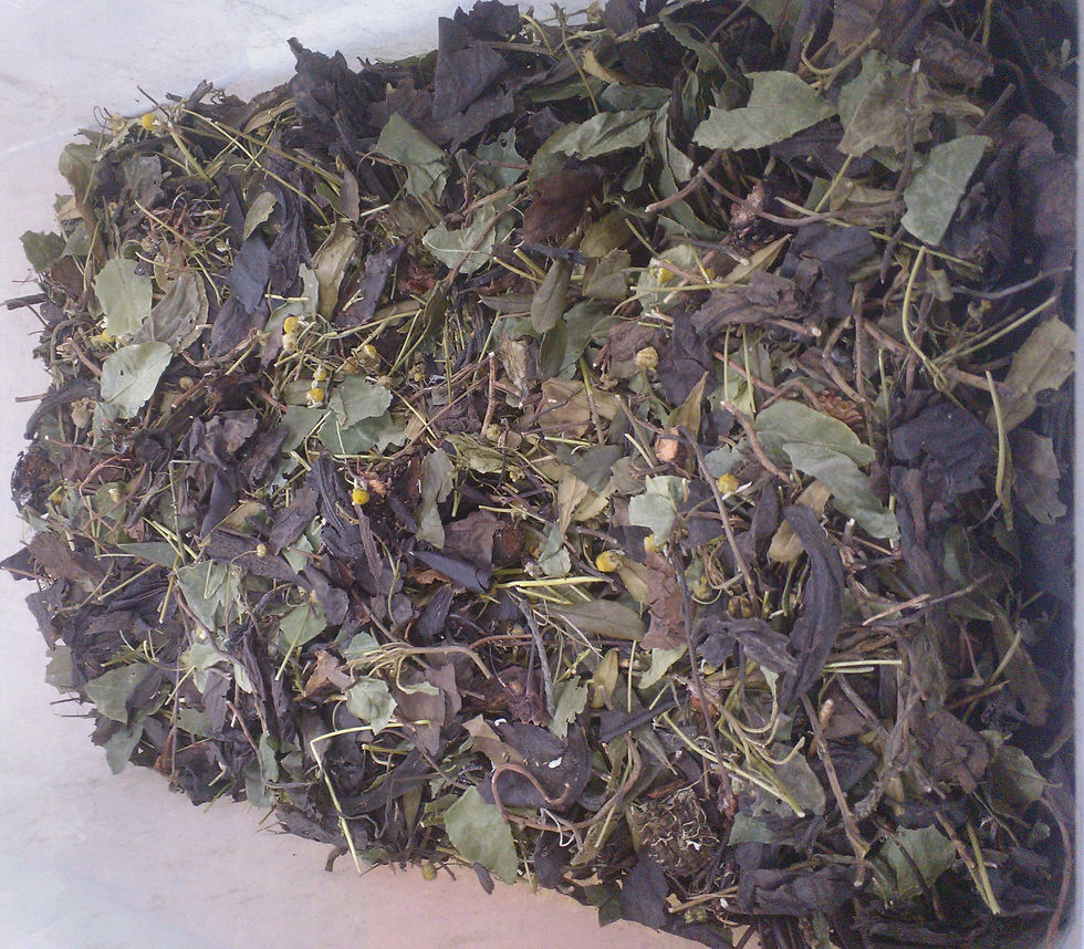 Женский сбор