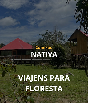 Viagens Floresta