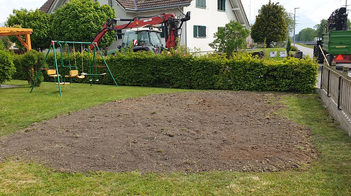 20190518_155838.jpg