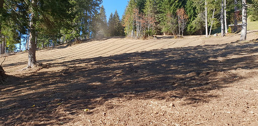 20181017_134108.jpg