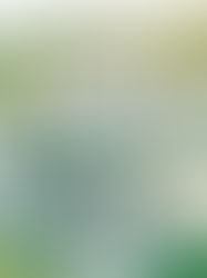 Luxury Wedding in France