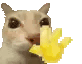 cecesrhaccc1-on-tiktok-cecesrhaccc1.gif
