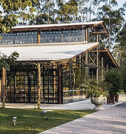 Screenshot 2025-08-21 at 12.00.07 PM.png