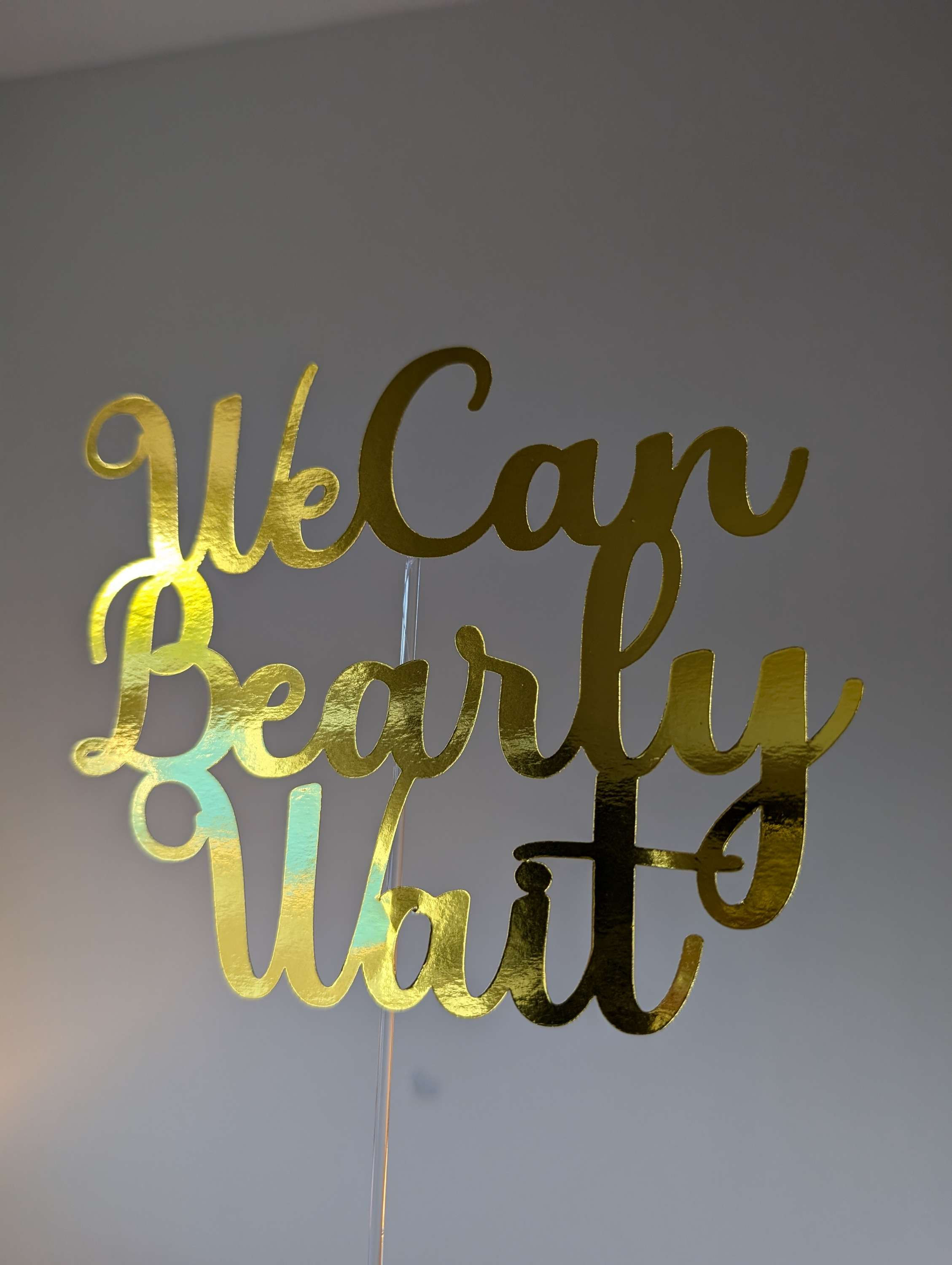 We can bearly wait. Available in different colours 