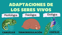ADAPACIONES.jpg