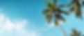 AdobeStock_643521083.jpeg