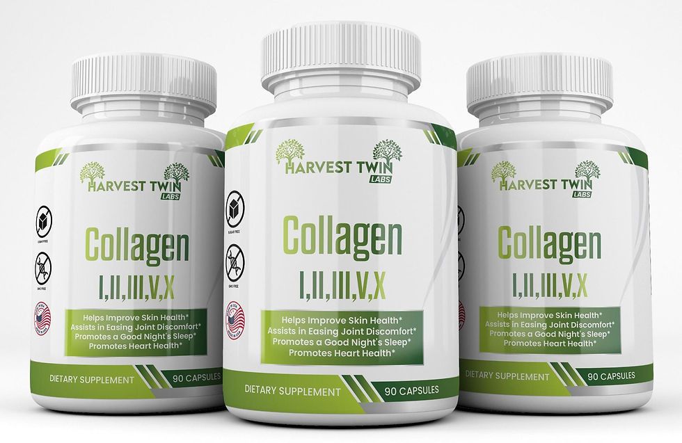 Collagen Peptides I,II,III,V,X- (3 Pack)