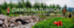 DANS I NATURROM (4).png