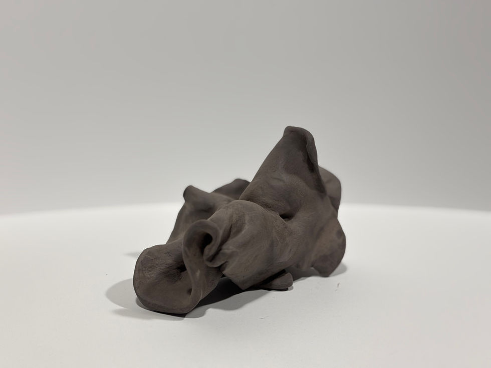 A singular limb from "Emergence"
