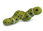 lagarta.PNG