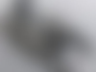 Intrincadas esculturas de LEGO de Mitsuru Nikaido reimaginam animais como robôs