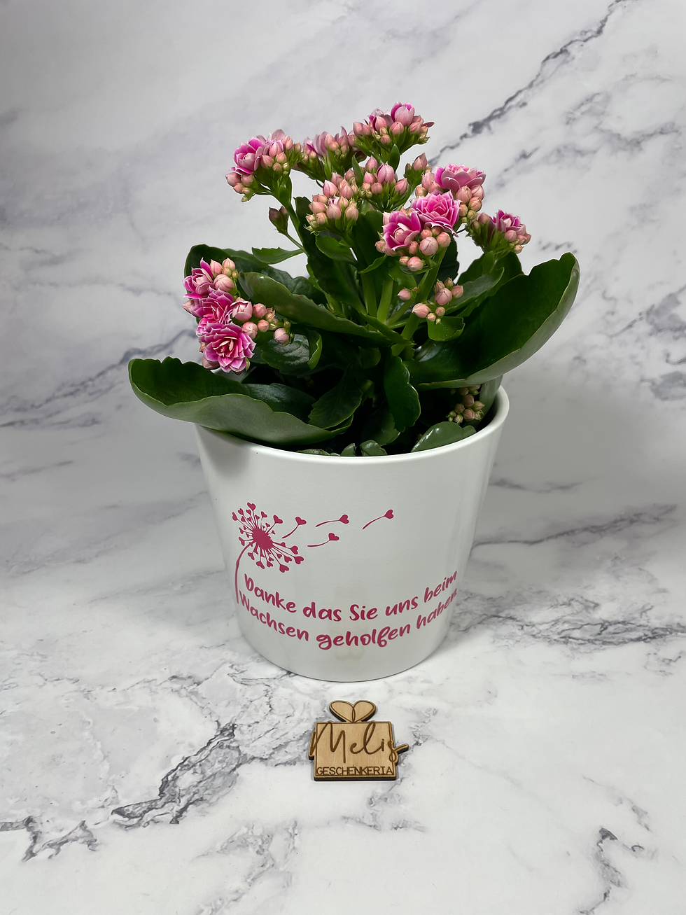 Blumen Topf