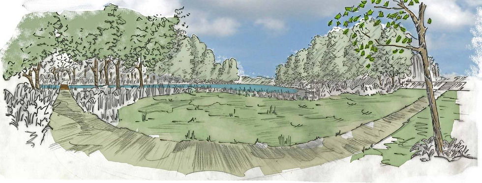 Croquis réhabilitation étang