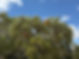 IMG_2572.jpeg