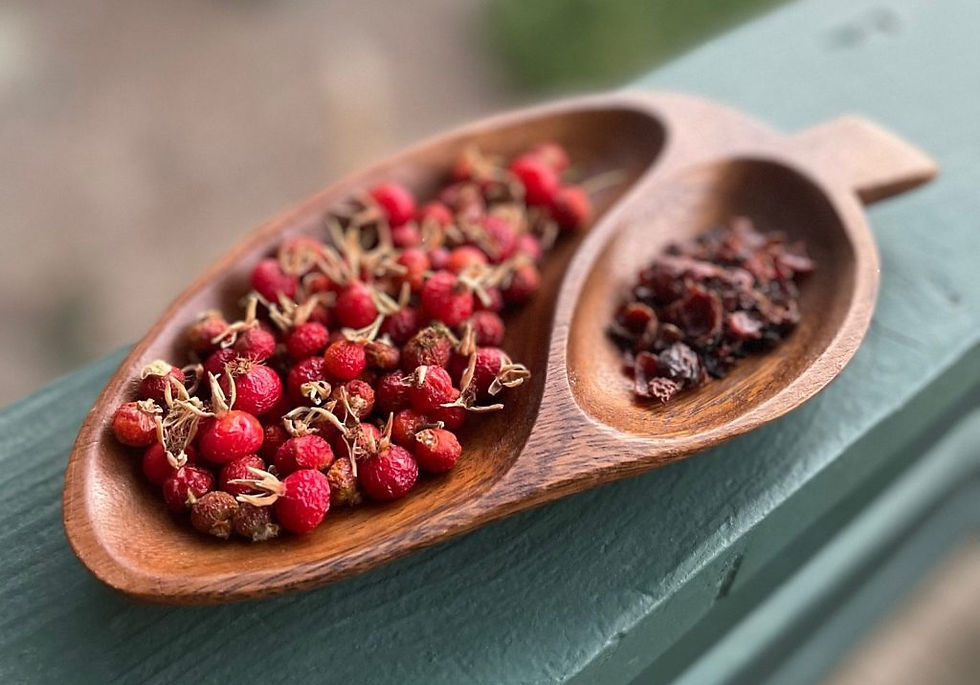 California Wild Rose Hips