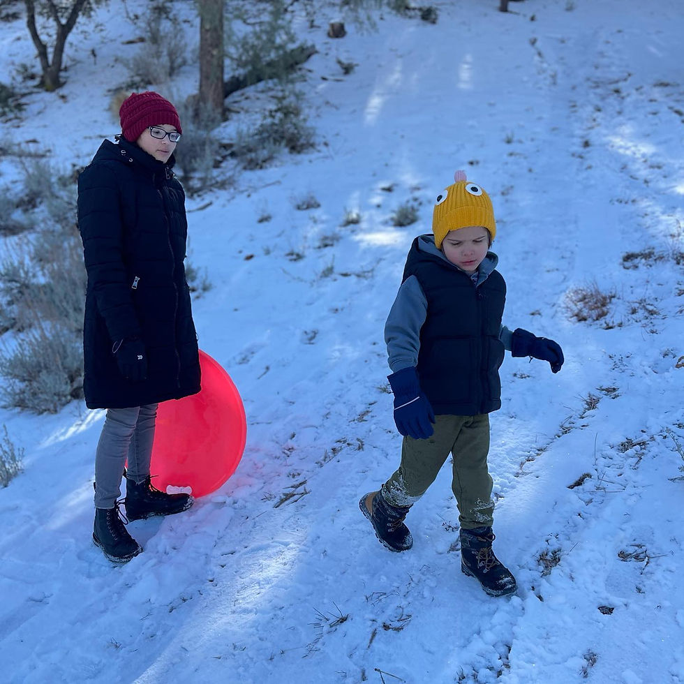 Enjoying the Winter in the Forest