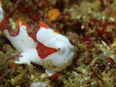 【10月3日】良い海だなぁ