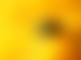 【1月13日】あれあれ?