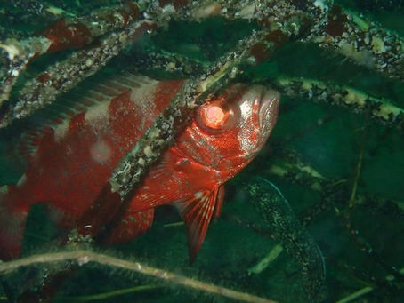 【7月23日】あれれ?