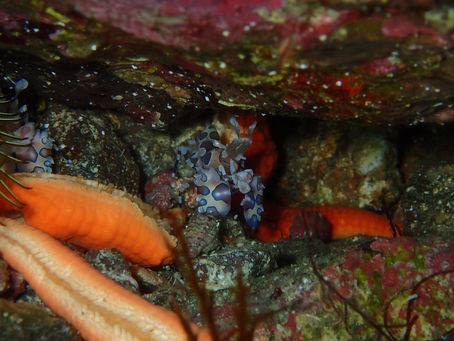 【11月6日】寒さに負けるな!