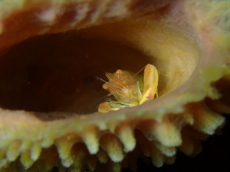 【10月17日】大荒れじゃ~