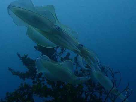 暑くて温くて冷たいけど