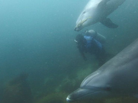 【5月30日】UP写真いっぱい