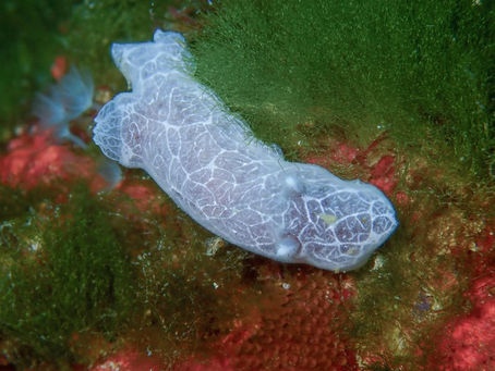 【2月1日】冬の海だー!