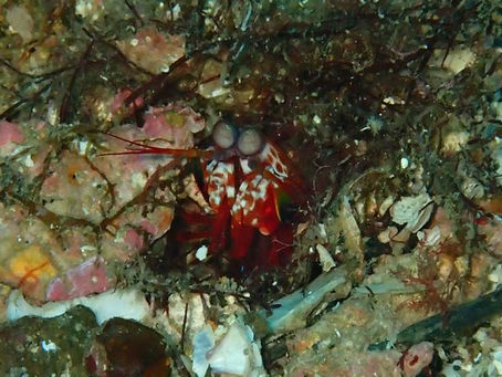 海の中は万歳なんですよ