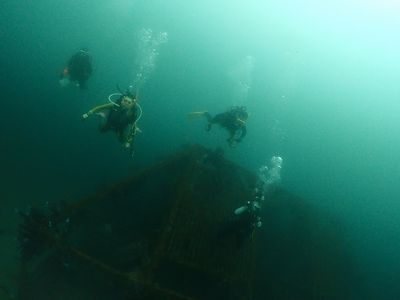 昨日よりイイような…透明度